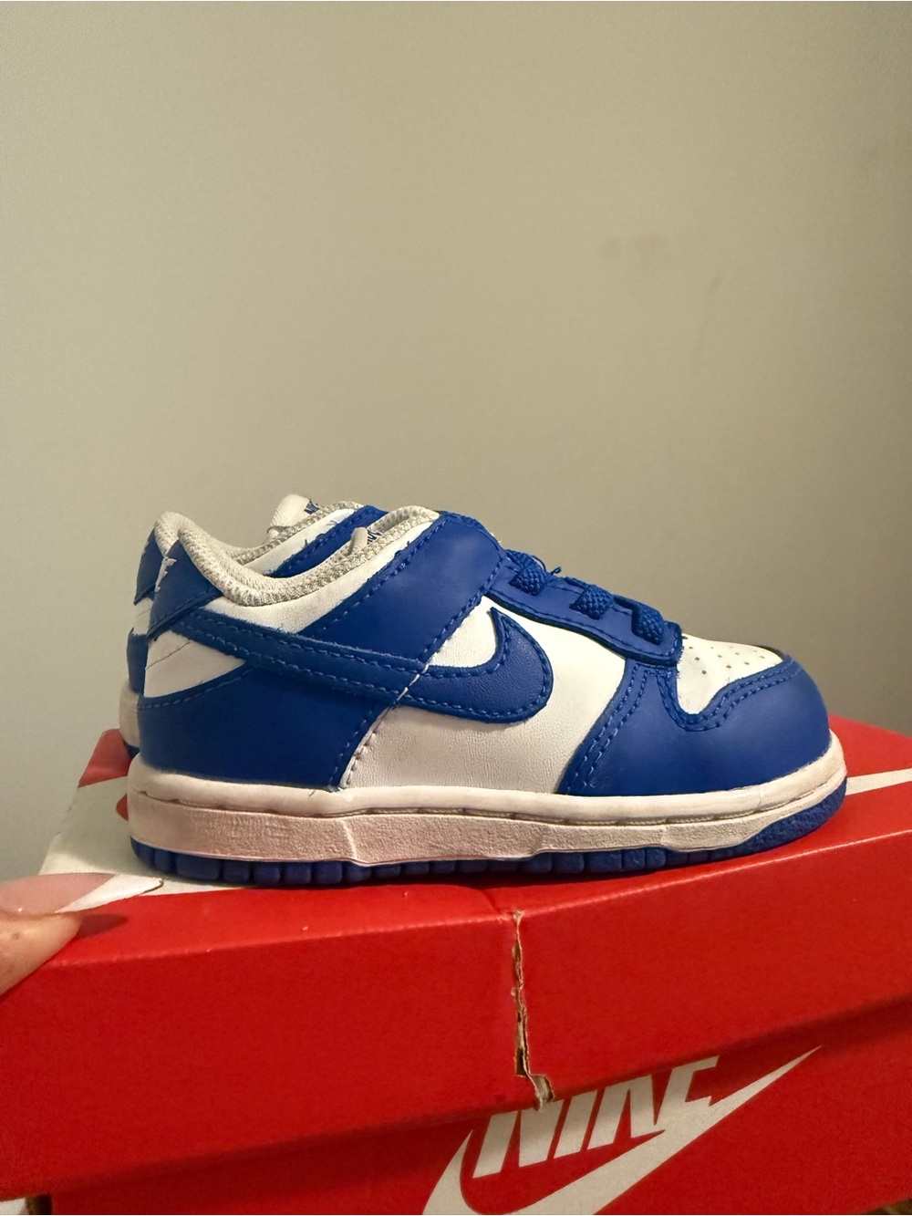 Nike Kids Blue and White Low-Top Sneaker